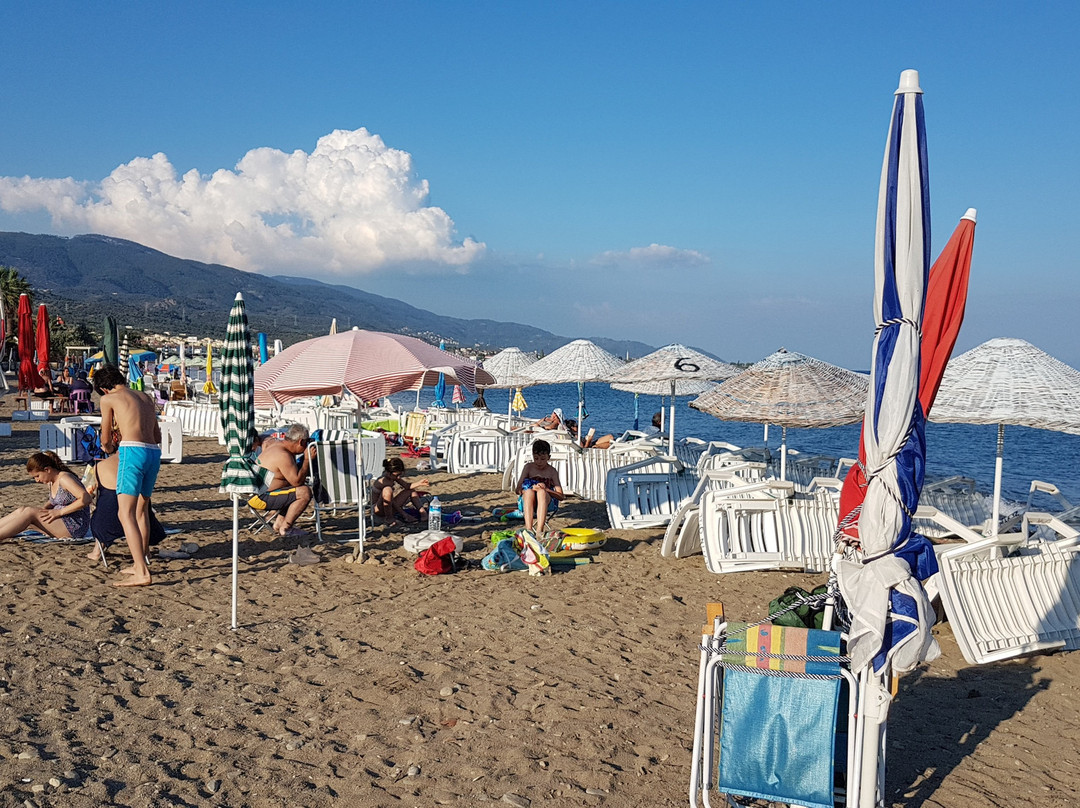 Zeytin Hotel主图