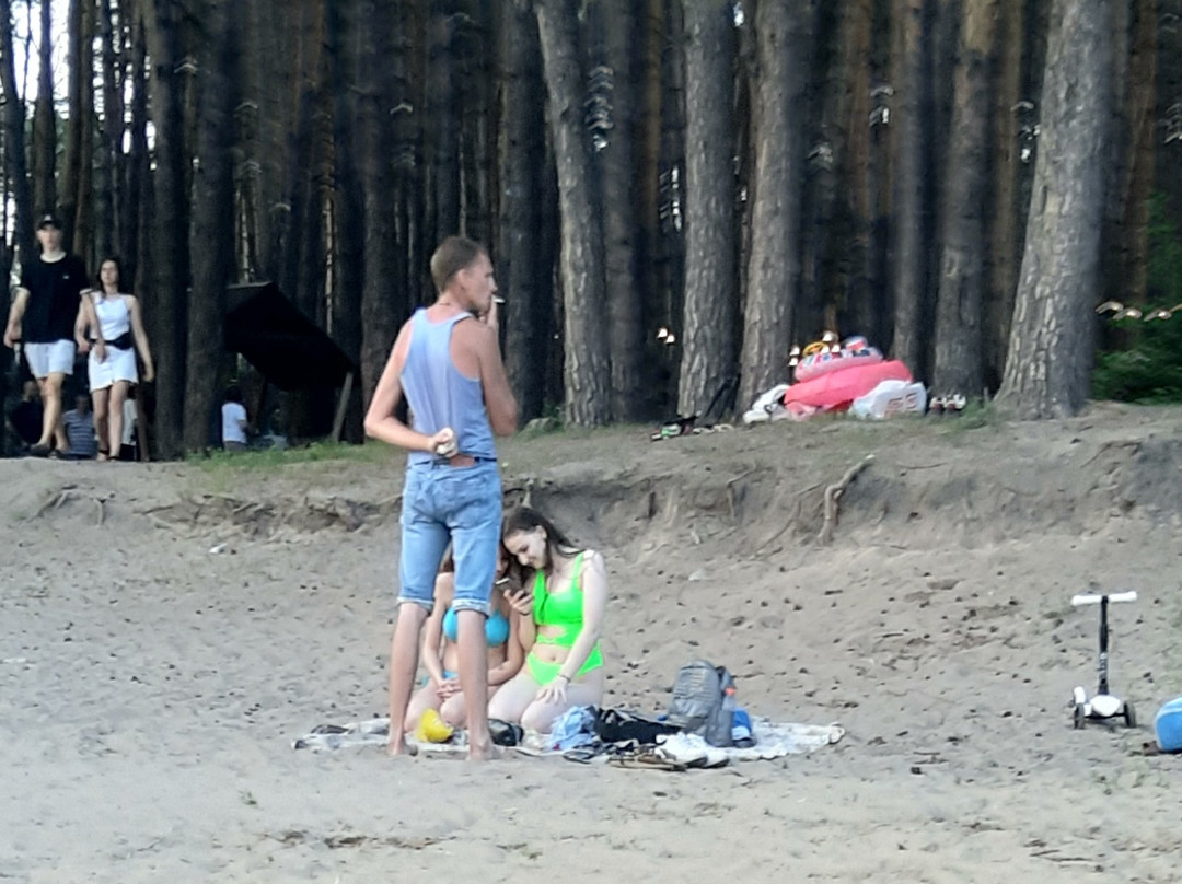 Picnic Park景点图片