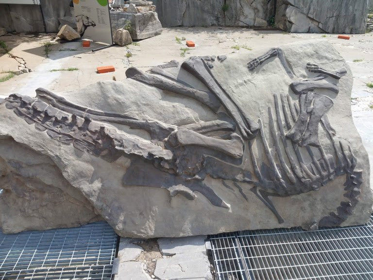 Sito Paleontologico Dinosauro Antonio景点图片