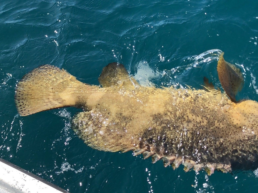 Ramer Fishing Charters-Bokeelia必去景点