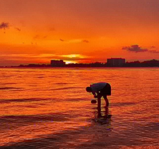 Bagan Pinang Beach-波德申必去景点
