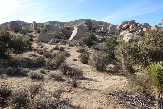 God's Way Love,Pioneertown-Pioneertown必去景点