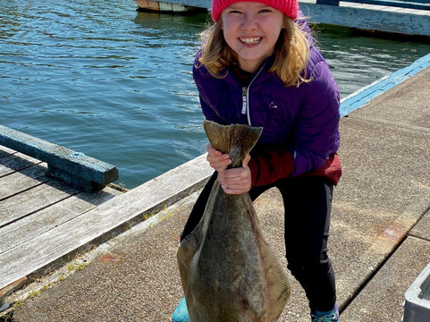 Fish Harder Charters-哈迪港必去景点