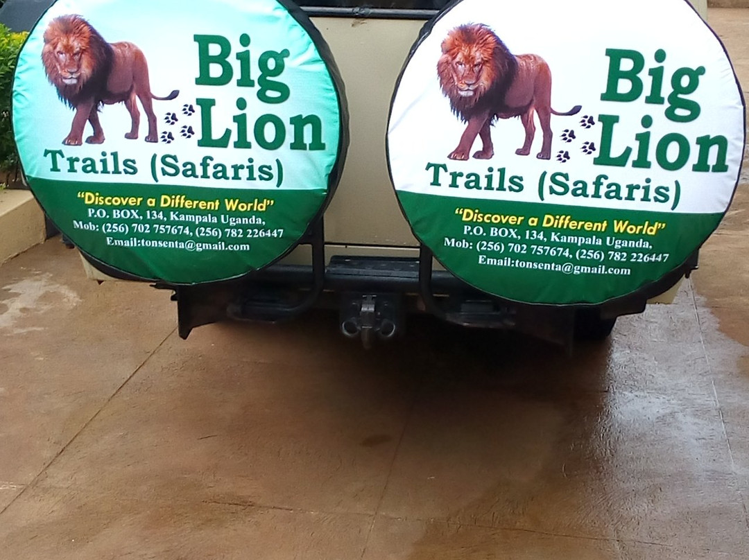 Big Lion Trails Safaris景点图片