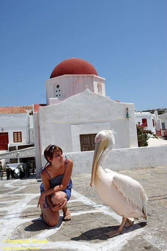 E&G Travel in Greece-雅典必去景点