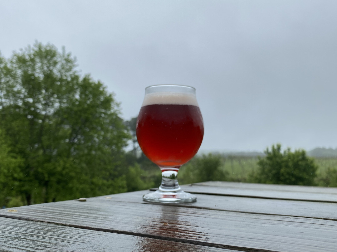 1781 Brewing Co.景点图片