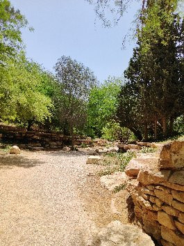 Ben Gurion Tomb-Sde Boker必去景点