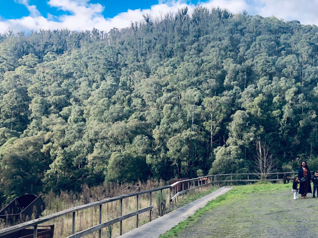 Walhalla Tramline Walkway-Walhalla必去景点