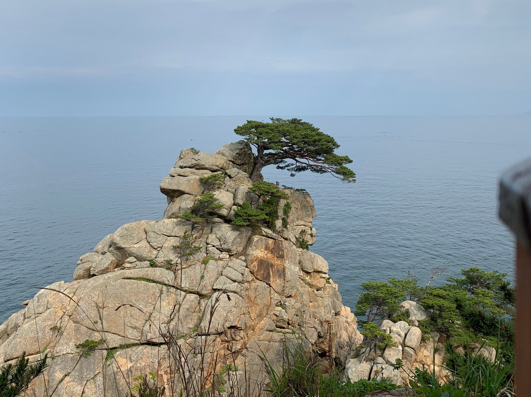 Hajodae-襄阳郡必去景点