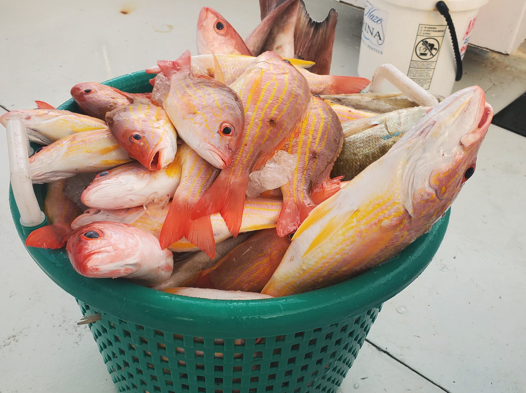 Man Overboard Charters-Cape Haze必去景点