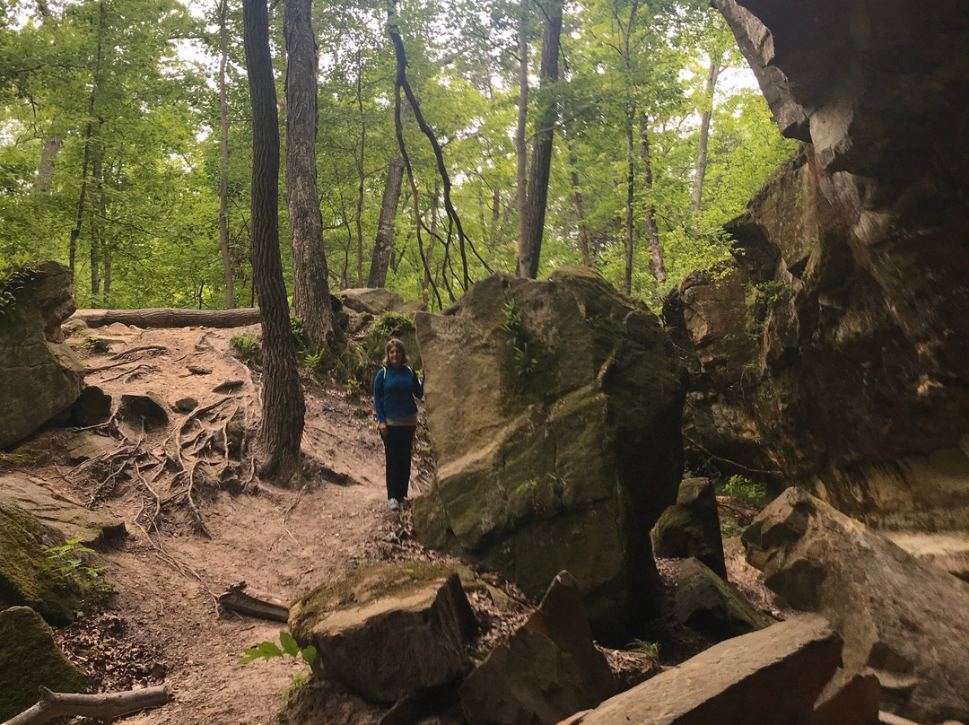 Don Robinson State Park景点图片