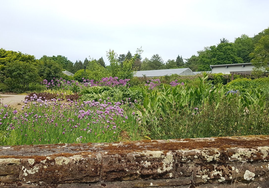 Botanischer Garten Solingen景点图片