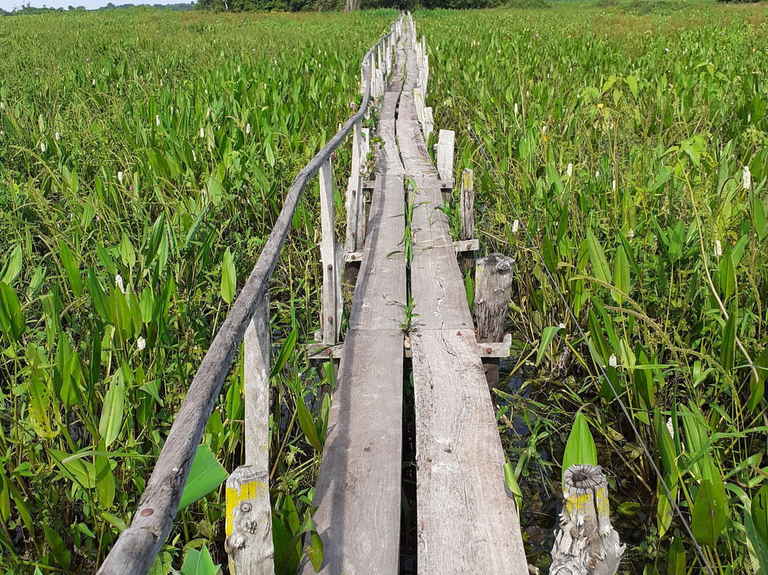 Jabiru Tour-Cuiaba必去景点