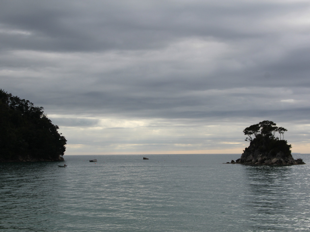 Tonga Island Marine Reserve-Abel Tasman National Park必去景点