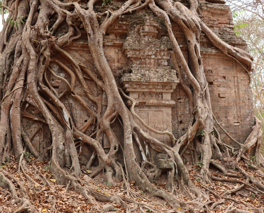 Daem Chrei Temple-磅同必去景点