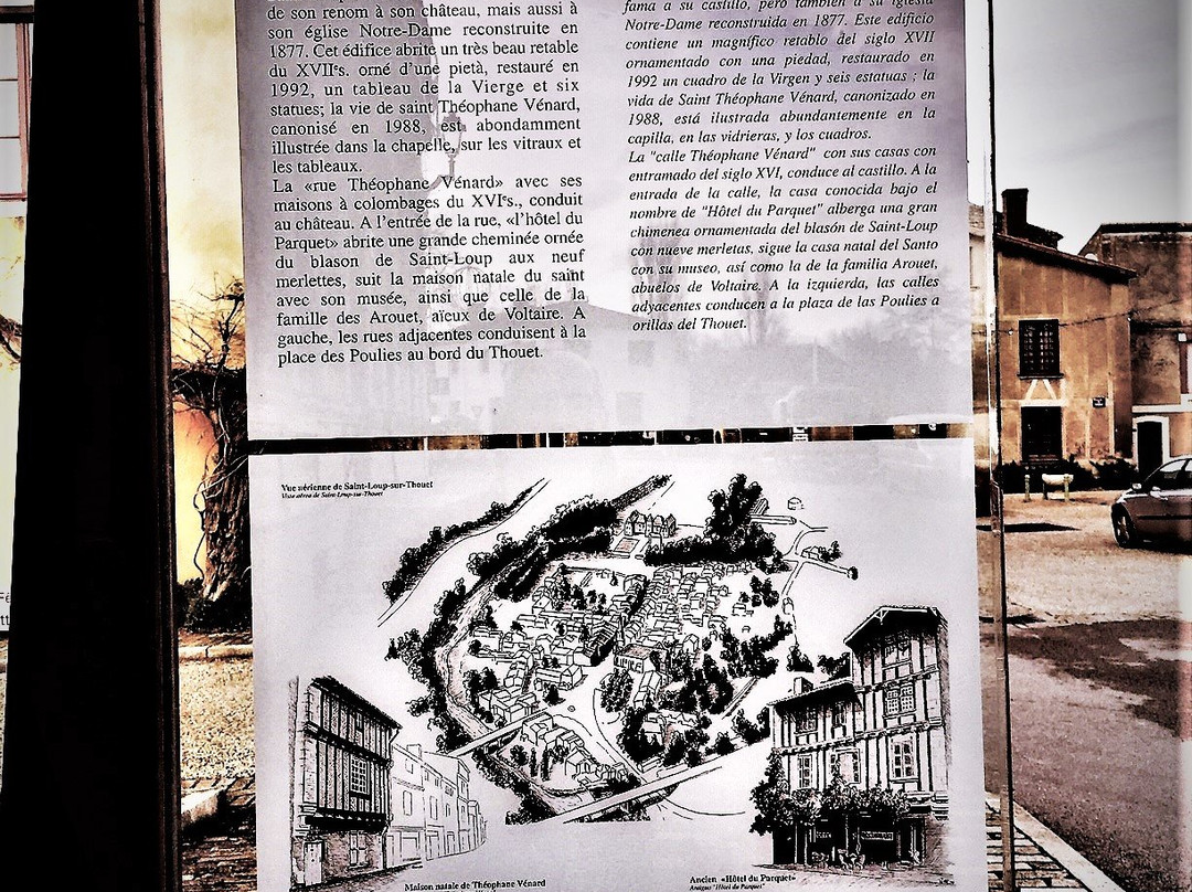 Domaine de Saint-Loup景点图片