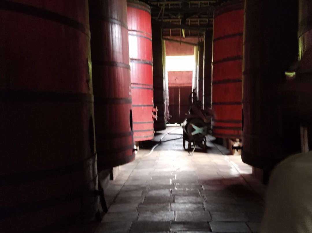 Vinicola De Mari-Monte Belo do Sul必去景点