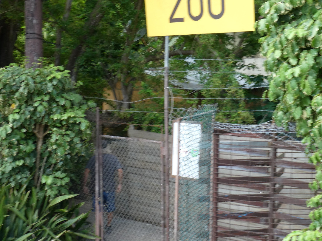Cushing Zoo景点图片