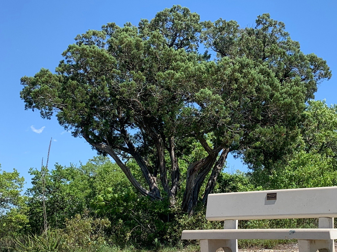 Senator Frank L. Madla Natural Area-Helotes必去景点