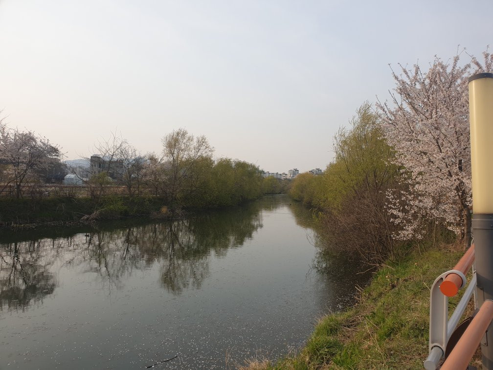 Uiwang Nature Learning Park-义王市必去景点