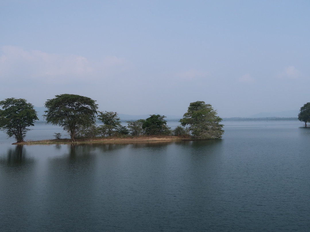 Udawalawe Dam-乌达瓦拉维国家公园必去景点