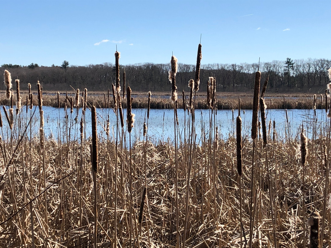 Great Meadows National Wildlife Refuge景点图片