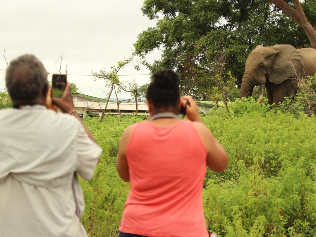 Hausa Tours-阿克拉必去景点