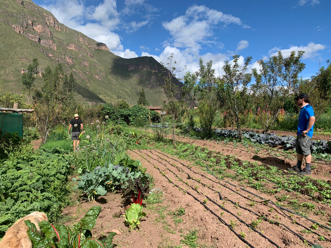 The Andean Alliance for Sustainable Development (AASD)景点图片
