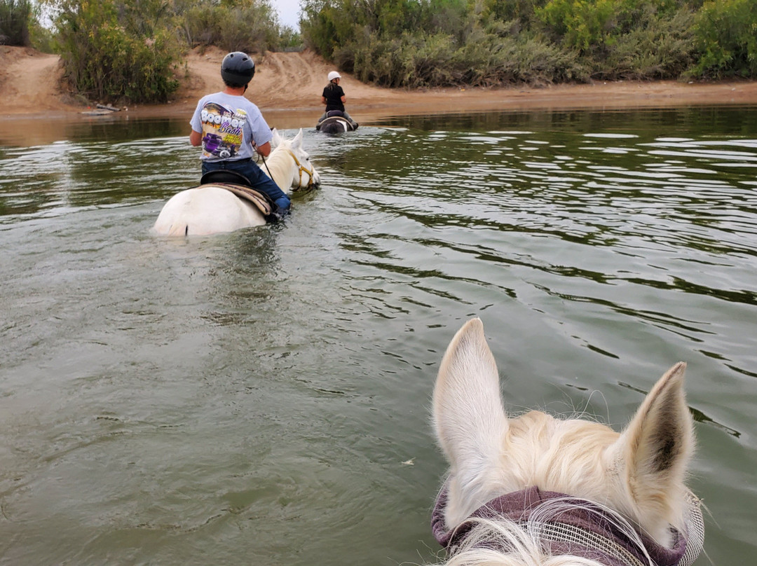 Desert Horse Adventures-尤马必去景点