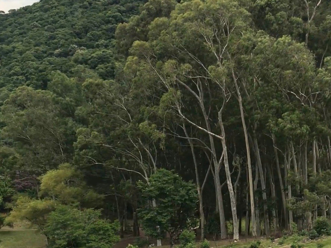 Monumento do Imigrante Italiano-Silveira Martins必去景点