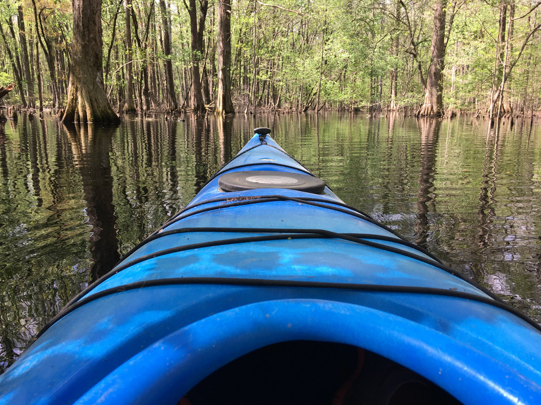 Charleston Kayak Company景点图片