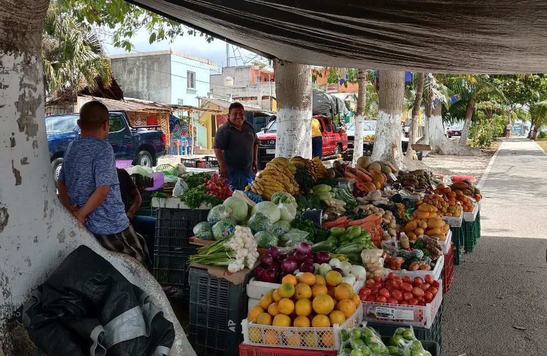 Akumal Farmers Market景点图片