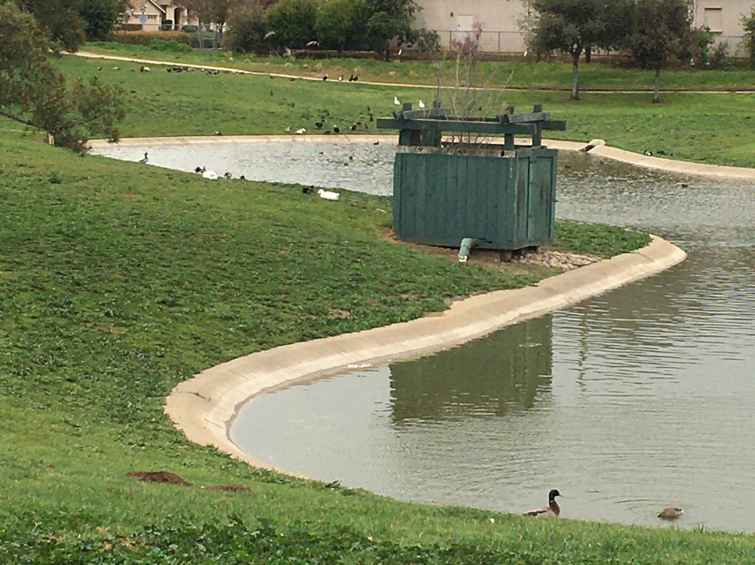 Dog Park - Morgan Hill-摩根希尔必去景点