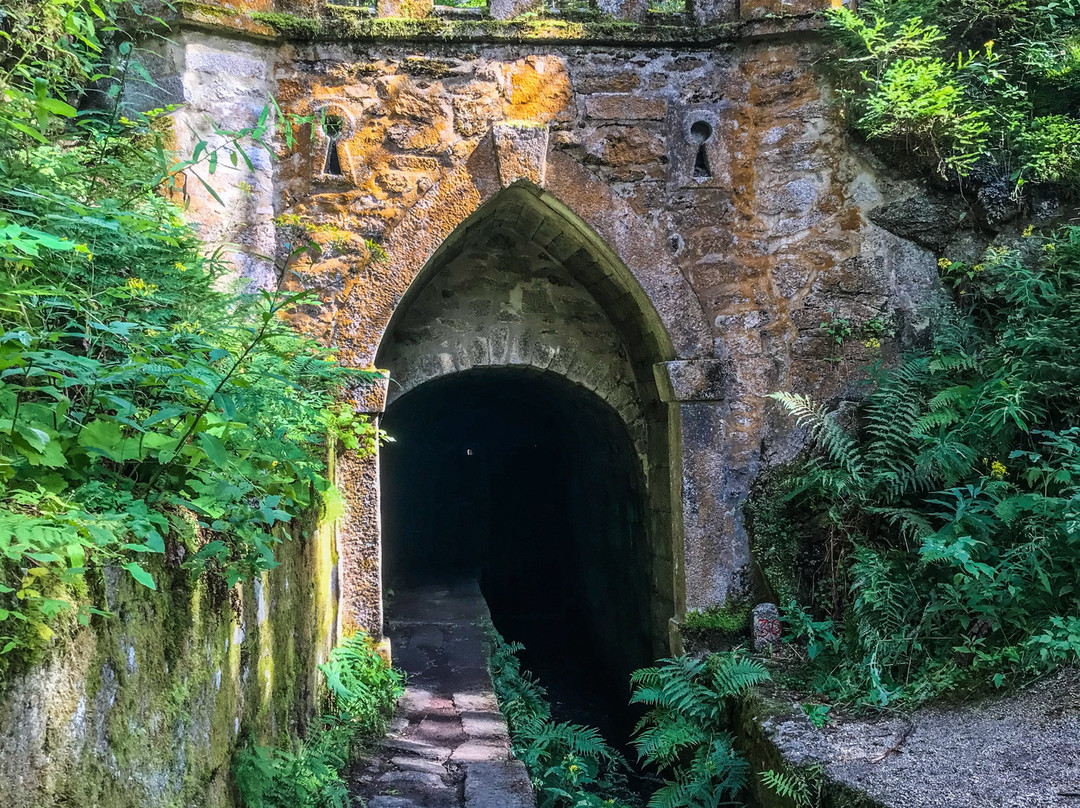 Schwarzenberský plavební kanál (Schwarzenberg Navigational Canal)景点图片