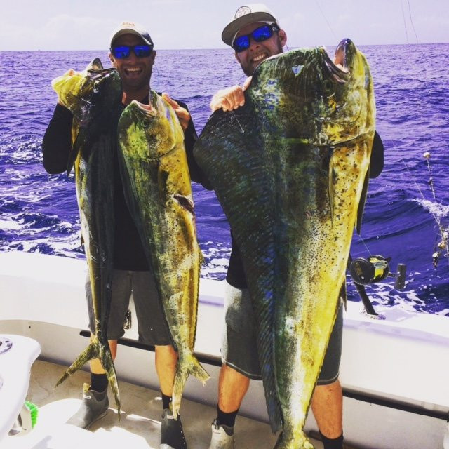 Whale Harbor Marina-伊斯拉摩拉达必去景点