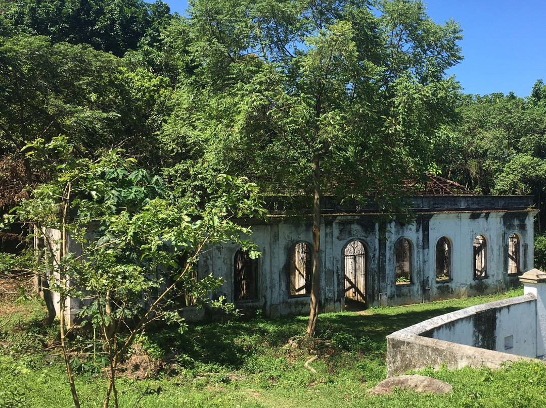 Ruinas do Forte do Leme景点图片