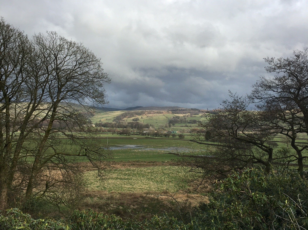 Littlebank Country House主图