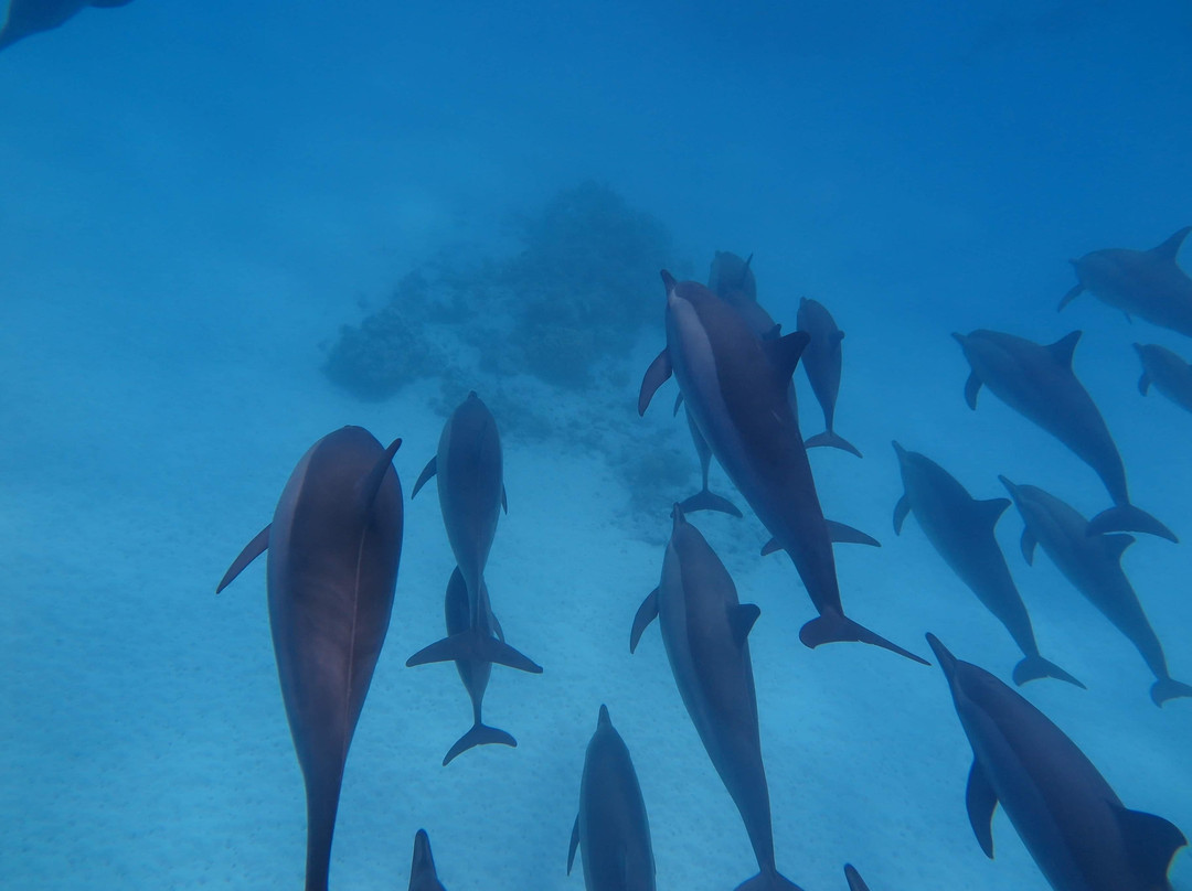 Coco Trans - Excursions-马萨阿拉姆必去景点