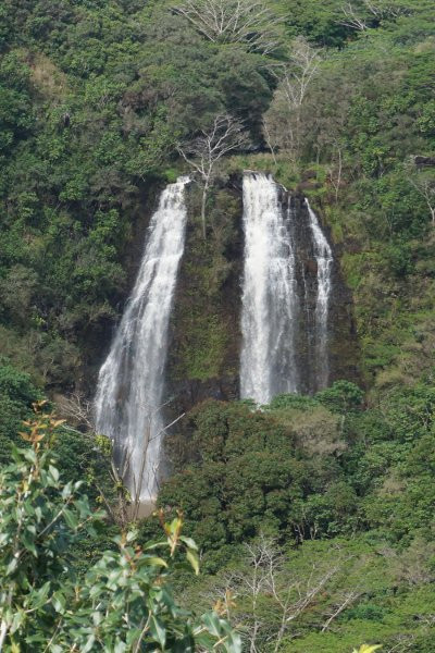 Ho'olalaea Waterfall景点图片