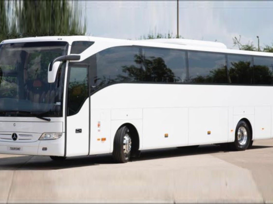 Limerick City Walking Tours-利默里克必去景点