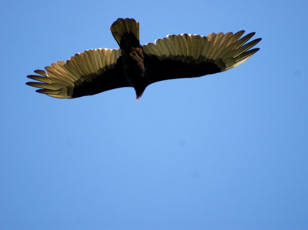 Estancia Los Platanos主图