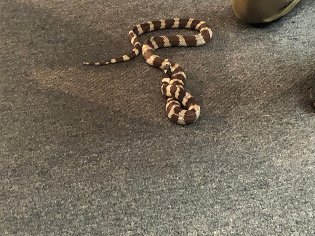 Coyote Hills Regional Park-费利蒙必去景点