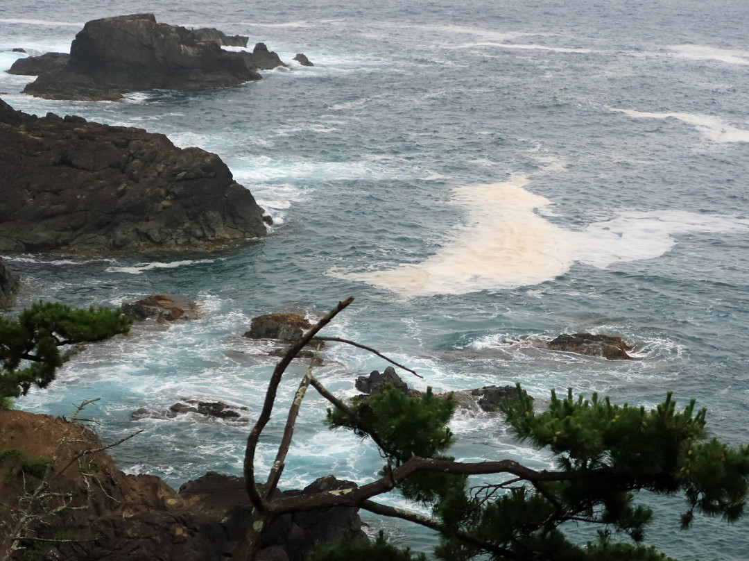 Tatsumaizaki-气仙沼市必去景点