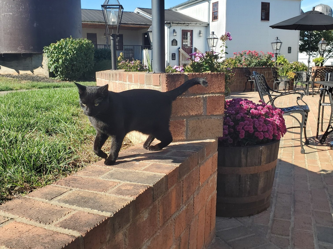 Willett Distilling Company-Bardstown必去景点