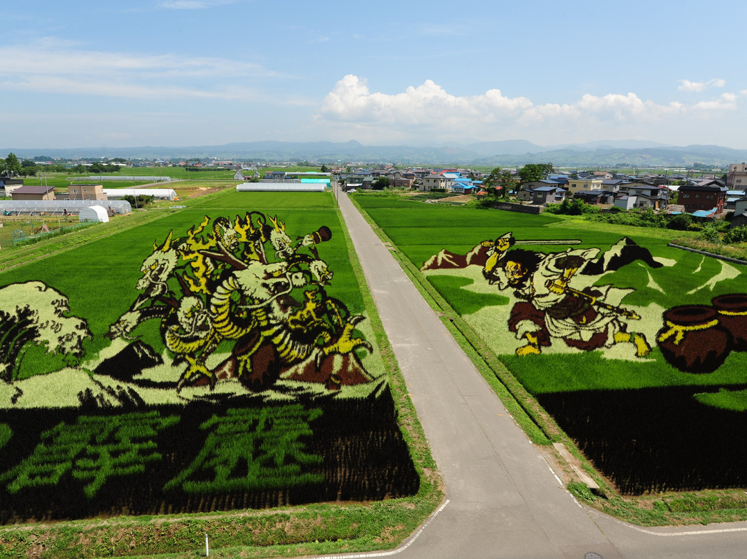 Inakadate Mura Tanbo Art景点图片