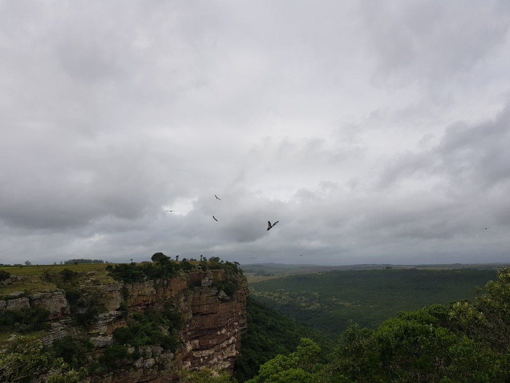Oribi Vulture Viewing Hide景点图片