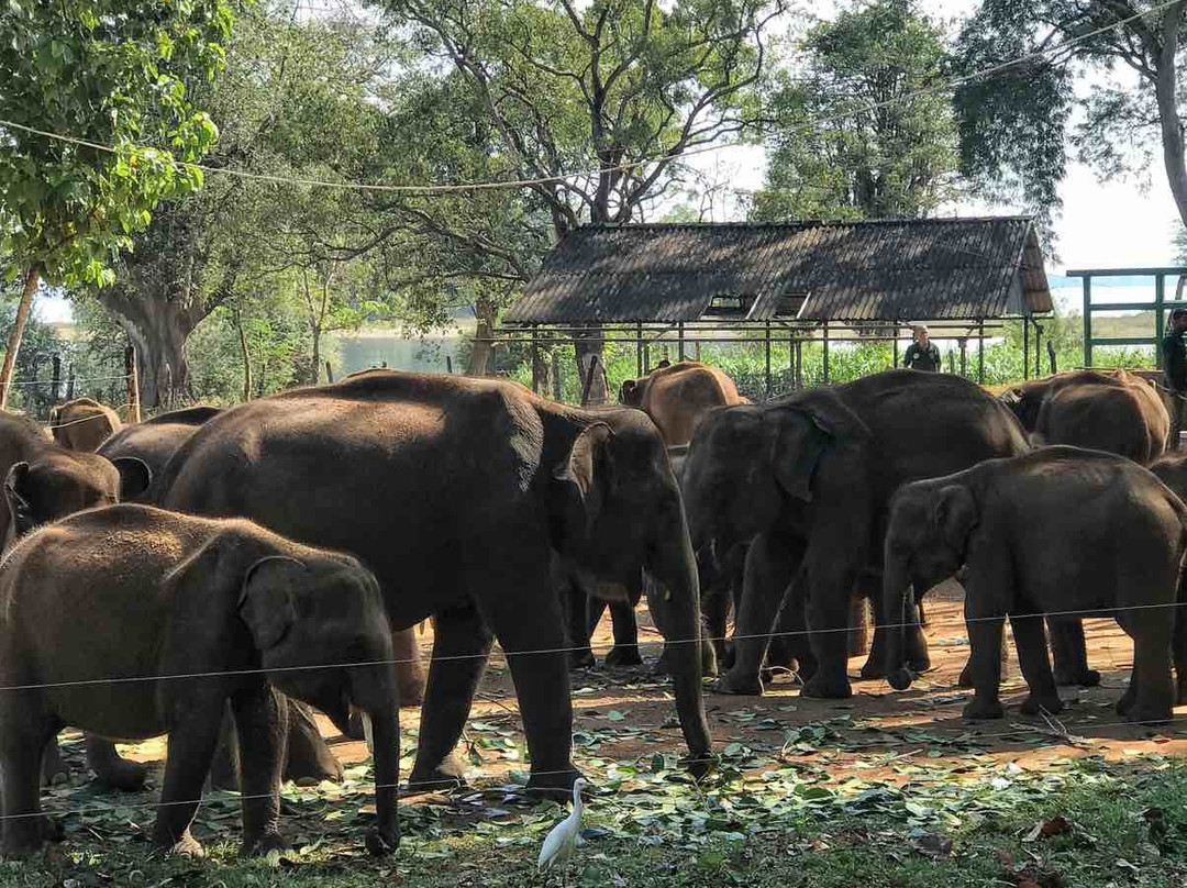 Ishan Tours Travel-乌纳瓦图纳必去景点