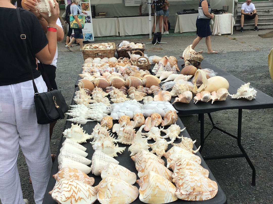 Matakana Village Farmers' Market-马塔卡纳小镇必去景点