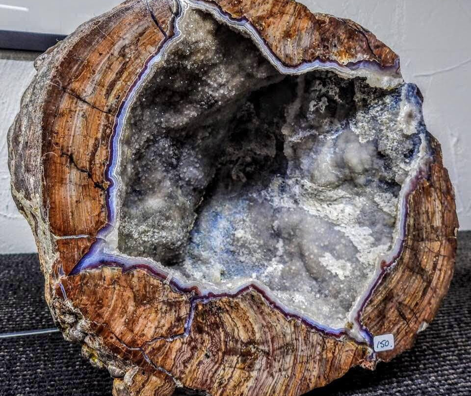 Pineapple Rocks-萨拉索塔必去景点