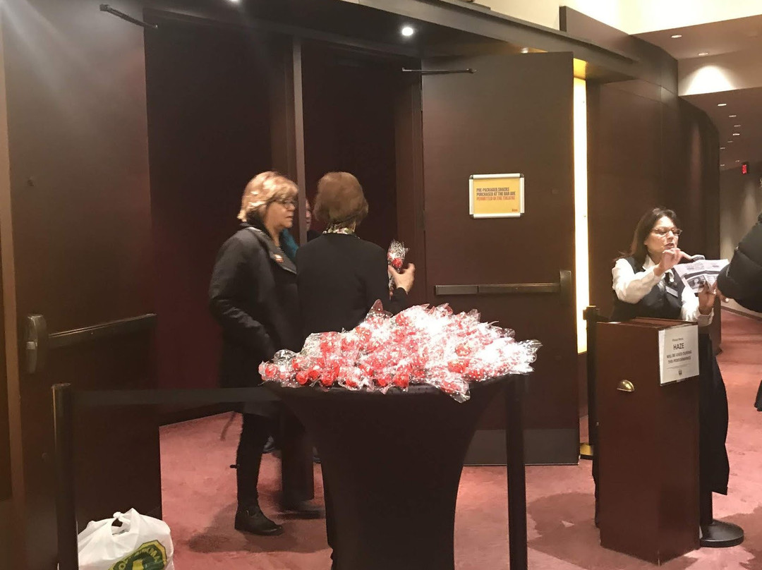 Rose Theatre Brampton-布兰普敦必去景点